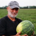 Szab&oacute; B&eacute;la - Dinnye őstermelő csal&aacute;di gazd&aacute;lkod&oacute;
